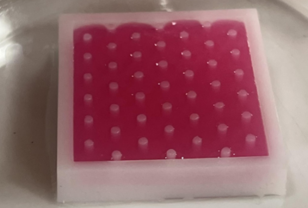 Piel sintética 02
