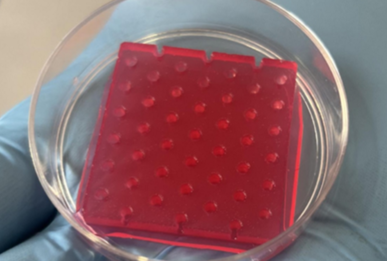 Piel sintética 03