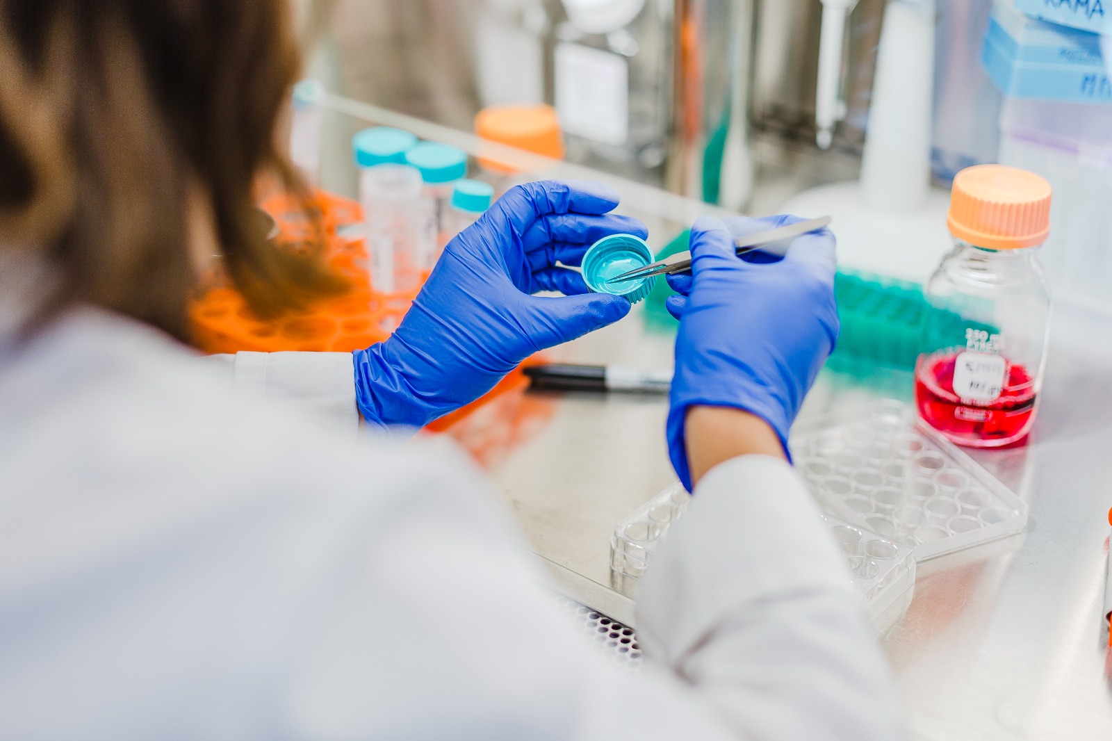 Investigación Finis Terrae