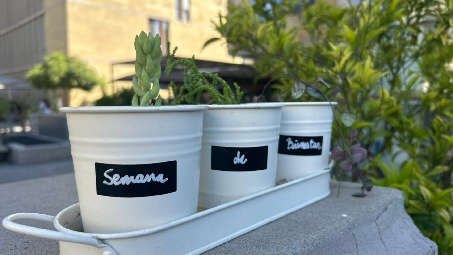 Agenda web – 2025-10-28T175542.093