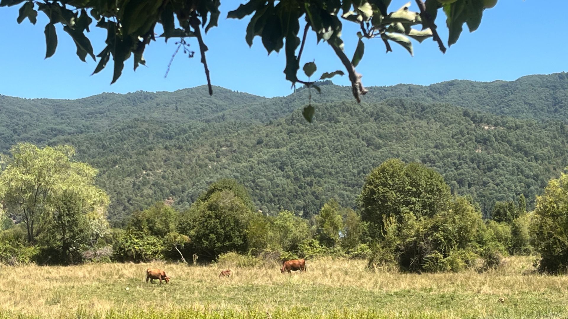 Agenda web – 2025-10-28T181129.579